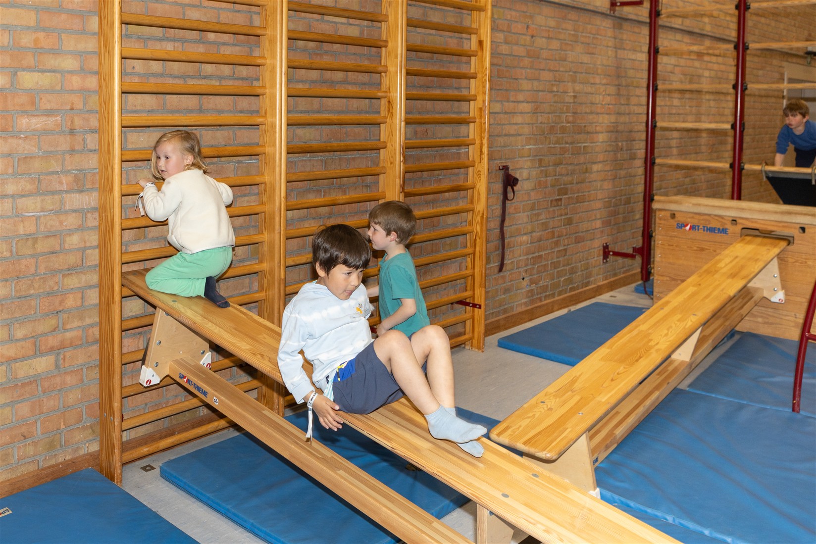 Kleuterkamp Zedelgem G1 in Zedelgem tijdens Grote vakantie W1 voor kinderen van 3 tot 6 jaar